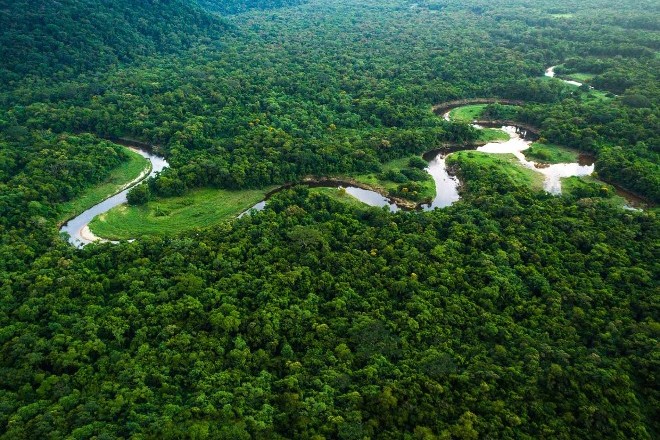 GISMETEO.PL: Lasy deszczowe Amazonii mogą zniknąć po 50 latach ...